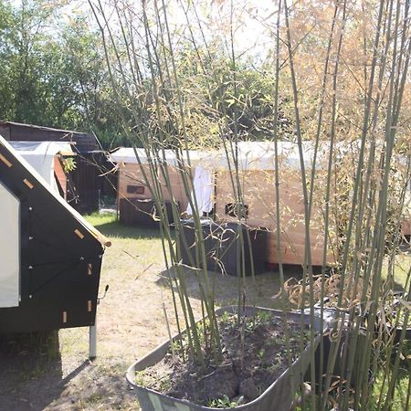 Strandgutkoje Auf Dem Campingplatz Strandgut 库克斯港 外观 照片